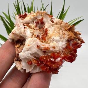 Red Vanadinite on BARITE from Morocco,Crystal, Mineral,Specimen,Cluster,Vanadinite Crystal, Vanadinite ,Geology,Vanadinite Cluster,Vanadinit