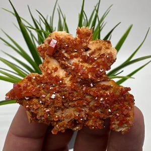 Red Vanadinite on Matrix from Morocco,Crystal, Mineral,Specimen,Cluster,Vanadinite Crystal, Vanadinite ,Geology,Vanadinite Cluster,Vanadinit