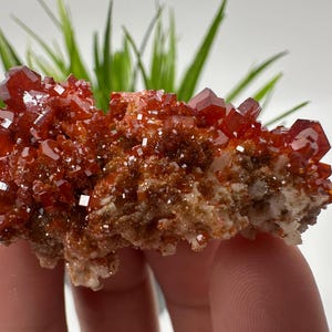 Red Vanadinite on BARITE from Morocco,Crystal, Mineral,Specimen,Cluster,Vanadinite Crystal, Vanadinite ,Geology,Vanadinite Cluster,Vanadinit
