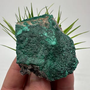 Malachite verte sur matrice : échantillon minéral du Congo, 123 grammes