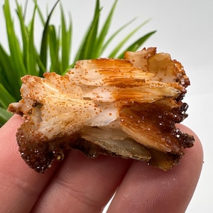 Red Vanadinite on Matrix from Morocco,Crystal, Mineral,Specimen,Cluster,Vanadinite Crystal, Vanadinite ,Geology,Vanadinite Cluster,Vanadinit