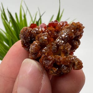 Red Vanadinite on Matrix from Morocco,Crystal, Mineral,Specimen,Cluster,Vanadinite Crystal, Vanadinite ,Geology,Vanadinite Cluster,Vanadinit
