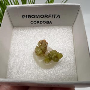 Pyromorphite Stone / Pyromorphite on Matrix / Pyromorphite Crystal / Raw Crystal / Pyromorphite Cluster / Rough Pyromorphite / Pyromorphite