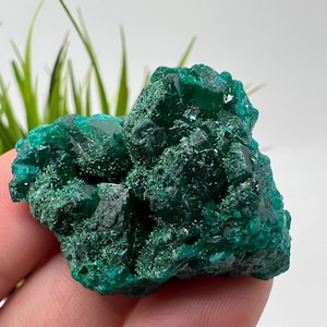 Spécimen de cristal de dioptase verte, minéral du Congo