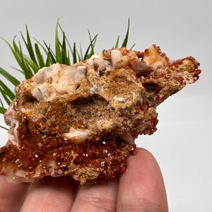 Red Vanadinite on BARITE from Morocco,Crystal, Mineral,Specimen,Cluster,Vanadinite Crystal, Vanadinite ,Geology,Vanadinite Cluster,Vanadinit