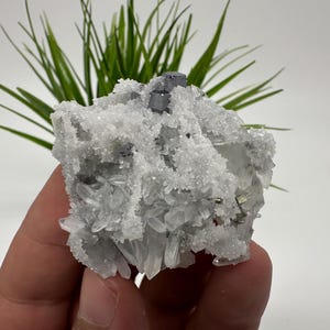 Stunning Galena whit Quartz,Calcite from Krushev dol mine,Madan,Bulgaria,natural,collection mineral specimen,Home decor stone,galena,Quarzt