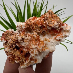 Rode vanadiniet op BARITE uit Marokko, kristal, mineraal, monster, cluster, vanadinietkristal, vanadiniet, geologie, vanadinietcluster, vanadiniet