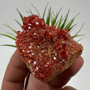 Red Vanadinite on BARITE from Morocco,Crystal, Mineral,Specimen,Cluster,Vanadinite Crystal, Vanadinite ,Geology,Vanadinite Cluster,Vanadinit