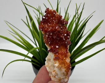 Red Vanadinite on BARITE from Morocco,Crystal, Mineral,Specimen,Cluster,Vanadinite Crystal, Vanadinite ,Geology,Vanadinite Cluster,Vanadinit
