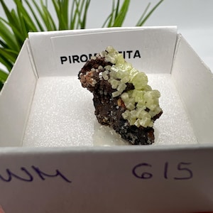Pyromorphite Stone / Pyromorphite on Matrix / Pyromorphite Crystal / Raw Crystal / Pyromorphite Cluster / Rough Pyromorphite / Pyromorphite