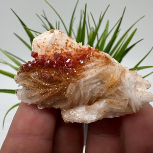 Red Vanadinite on BARITE from Morocco,Crystal, Mineral,Specimen,Cluster,Vanadinite Crystal, Vanadinite ,Geology,Vanadinite Cluster,Vanadinit