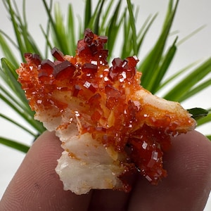 Rode vanadiniet op BARITE uit Marokko, kristal, mineraal, monster, cluster, vanadinietkristal, vanadiniet, geologie, vanadinietcluster, vanadiniet