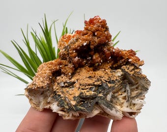 May include: A natural mineral specimen featuring a cluster of vibrant orange crystals atop a matrix of layered, dark gray, and white minerals. The specimen is accented by green plant-like elements.