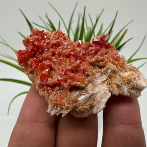 Red Vanadinite on BARITE from Morocco,Crystal, Mineral,Specimen,Cluster,Vanadinite Crystal, Vanadinite ,Geology,Vanadinite Cluster,Vanadinit