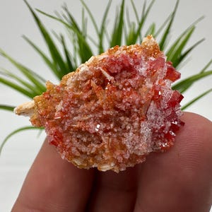 Red Vanadinite on BARITE from Morocco,Crystal, Mineral,Specimen,Cluster,Vanadinite Crystal, Vanadinite ,Geology,Vanadinite Cluster,Vanadinit
