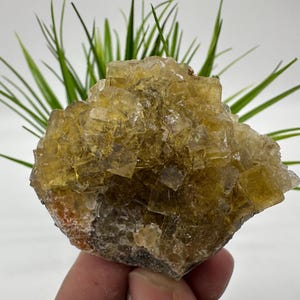Yellow Fluorite,Pyrite from Spain,Mineral Specimen,Yellow Fluorite,Fluorite from Spain,Collection, Fluorite Collectors, Crystal Fluorite