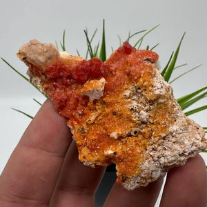 Red Vanadinite on Matrix from Morocco,Crystal, Mineral,Specimen,Cluster,Vanadinite Crystal, Vanadinite ,Geology,Vanadinite Cluster,Vanadinit