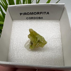 Pyromorphite Stone / Pyromorphite on Matrix / Pyromorphite Crystal / Raw Crystal / Pyromorphite Cluster / Rough Pyromorphite / Pyromorphite