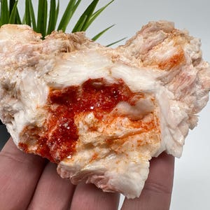 Red Vanadinite on Matrix from Morocco,Crystal, Mineral,Specimen,Cluster,Vanadinite Crystal, Vanadinite ,Geology,Vanadinite Cluster,Vanadinit