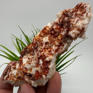 Red Vanadinite on Matrix from Morocco,Crystal, Mineral,Specimen,Cluster,Vanadinite Crystal, Vanadinite ,Geology,Vanadinite Cluster,Vanadinit