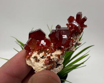 Red Vanadinite on Matrix from Morocco,Crystal, Mineral,Specimen,Cluster,Vanadinite Crystal, Vanadinite ,Geology,Vanadinite Cluster,Vanadinit
