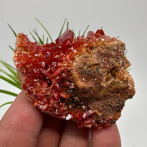 Red Vanadinite on BARITE from Morocco,Crystal, Mineral,Specimen,Cluster,Vanadinite Crystal, Vanadinite ,Geology,Vanadinite Cluster,Vanadinit