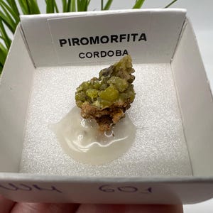 Pyromorphite Stone / Pyromorphite on Matrix / Pyromorphite Crystal / Raw Crystal / Pyromorphite Cluster / Rough Pyromorphite / Pyromorphite