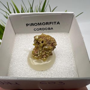 Pyromorphite Stone / Pyromorphite on Matrix / Pyromorphite Crystal / Raw Crystal / Pyromorphite Cluster / Rough Pyromorphite / Pyromorphite