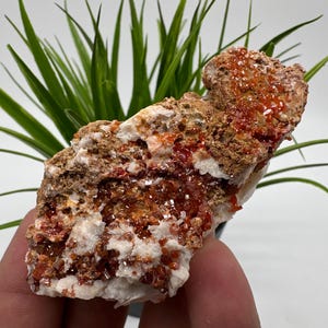Rode vanadiniet op BARITE uit Marokko, kristal, mineraal, monster, cluster, vanadinietkristal, vanadiniet, geologie, vanadinietcluster, vanadiniet