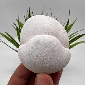 May include: A white, textured, rounded stone with a cloud-like shape. The stone is held in a hand, with green plant leaves in the background. The stone appears to be a decorative item or a natural art piece.