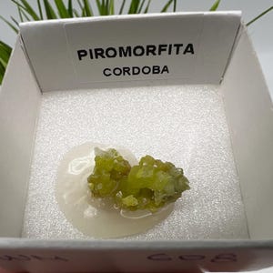 Pyromorphite Stone / Pyromorphite on Matrix / Pyromorphite Crystal / Raw Crystal / Pyromorphite Cluster / Rough Pyromorphite / Pyromorphite