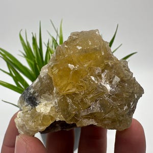 Yellow Fluorite,Pyrite from Spain,Mineral Specimen,Yellow Fluorite,Fluorite from Spain,Collection, Fluorite Collectors, Crystal Fluorite