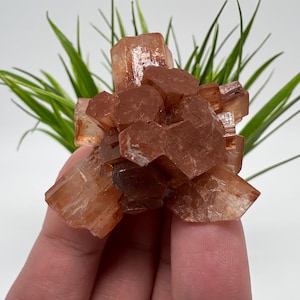Amazing Aragonite from Morocco ,Aragonite Sputnik, Crystals, Raw Stone Cluster, Mineral, Stones, souvenir gift crystal home decor stone