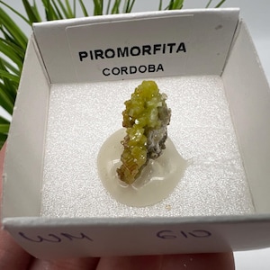 Pyromorphite Stone / Pyromorphite on Matrix / Pyromorphite Crystal / Raw Crystal / Pyromorphite Cluster / Rough Pyromorphite / Pyromorphite
