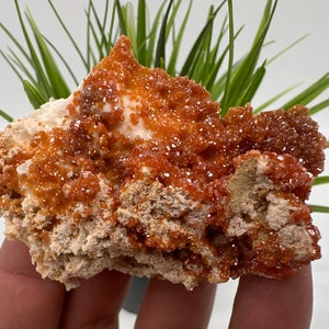 Red Vanadinite on Matrix from Morocco,Crystal, Mineral,Specimen,Cluster,Vanadinite Crystal, Vanadinite ,Geology,Vanadinite Cluster,Vanadinit