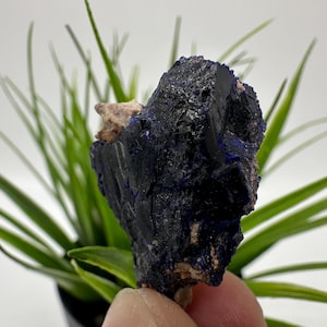 Crystallized Azurite-Kerrouchen,Morocco-Blue Azurite Specimen-High Quality Blue Azurite-Azurite Mineral Specimen, gemmy,lustrous of Azurite