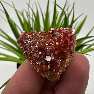Rode vanadiniet op BARITE uit Marokko, kristal, mineraal, monster, cluster, vanadinietkristal, vanadiniet, geologie, vanadinietcluster, vanadiniet