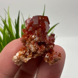 Red Vanadinite on BARITE from Morocco,Crystal, Mineral,Specimen,Cluster,Vanadinite Crystal, Vanadinite ,Geology,Vanadinite Cluster,Vanadinit