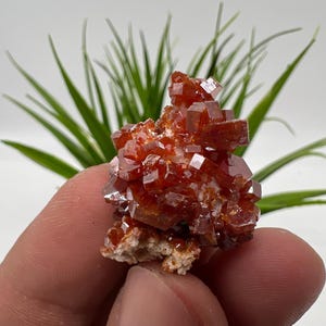 Red Vanadinite on Matrix from Morocco,Crystal, Mineral,Specimen,Cluster,Vanadinite Crystal, Vanadinite ,Geology,Vanadinite Cluster,Vanadinit