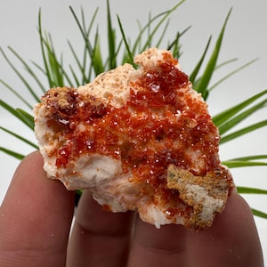 Red Vanadinite on Matrix from Morocco,Crystal, Mineral,Specimen,Cluster,Vanadinite Crystal, Vanadinite ,Geology,Vanadinite Cluster,Vanadinit