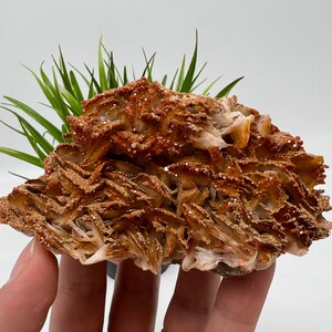 Red Vanadinite on BARITE from Morocco,Crystal, Mineral,Specimen,Cluster,Vanadinite Crystal, Vanadinite ,Geology,Vanadinite Cluster,Vanadinit