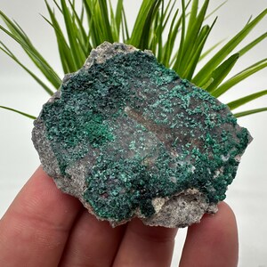 Superbe malachite verte sur matrice, originaire du Congo, minéraux, cristaux, spécimen minéral, minéraux de collection, malachite, minéraux en gros, malach