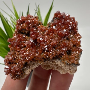 Red Vanadinite on BARITE from Morocco,Crystal, Mineral,Specimen,Cluster,Vanadinite Crystal, Vanadinite ,Geology,Vanadinite Cluster,Vanadinit