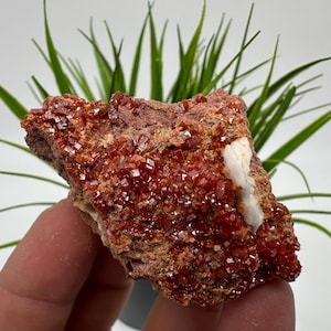 Red Vanadinite on BARITE from Morocco,Crystal, Mineral,Specimen,Cluster,Vanadinite Crystal, Vanadinite ,Geology,Vanadinite Cluster,Vanadinit