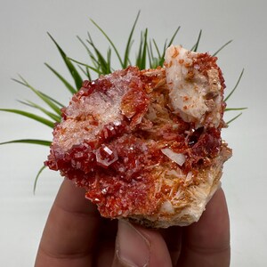 Red Vanadinite on BARITE from Morocco,Crystal, Mineral,Specimen,Cluster,Vanadinite Crystal, Vanadinite ,Geology,Vanadinite Cluster,Vanadinit