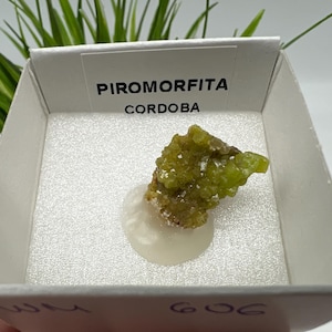 Pyromorphite Stone / Pyromorphite on Matrix / Pyromorphite Crystal / Raw Crystal / Pyromorphite Cluster / Rough Pyromorphite / Pyromorphite