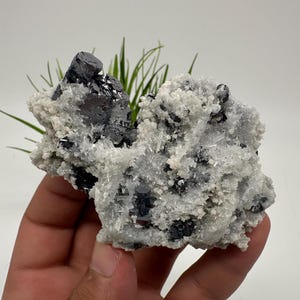 Stunning Galena whit Quartz,Calcite from Krushev dol mine,Madan,Bulgaria,natural,collection mineral specimen,Home decor stone,galena,Quarzt