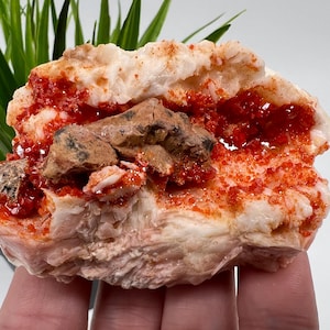 Red Vanadinite on Matrix from Morocco,Crystal, Mineral,Specimen,Cluster,Vanadinite Crystal, Vanadinite ,Geology,Vanadinite Cluster,Vanadinit