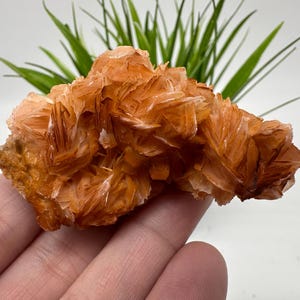Very nice Baryte with Cerussite from Morocco,Crystal, Mineral,Specimen,Cluster, Crystals,Barite Crystal,Cerussite,Cerussite Crystal,Specimen