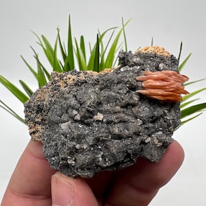 Very nice Baryte with Cerussite from Morocco,Crystal, Mineral,Specimen,Cluster, Crystals,Barite Crystal,Cerussite,Cerussite Crystal,Specimen